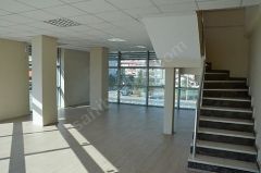 Körfezde işyeri